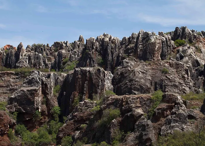 El Rincon De San Benito