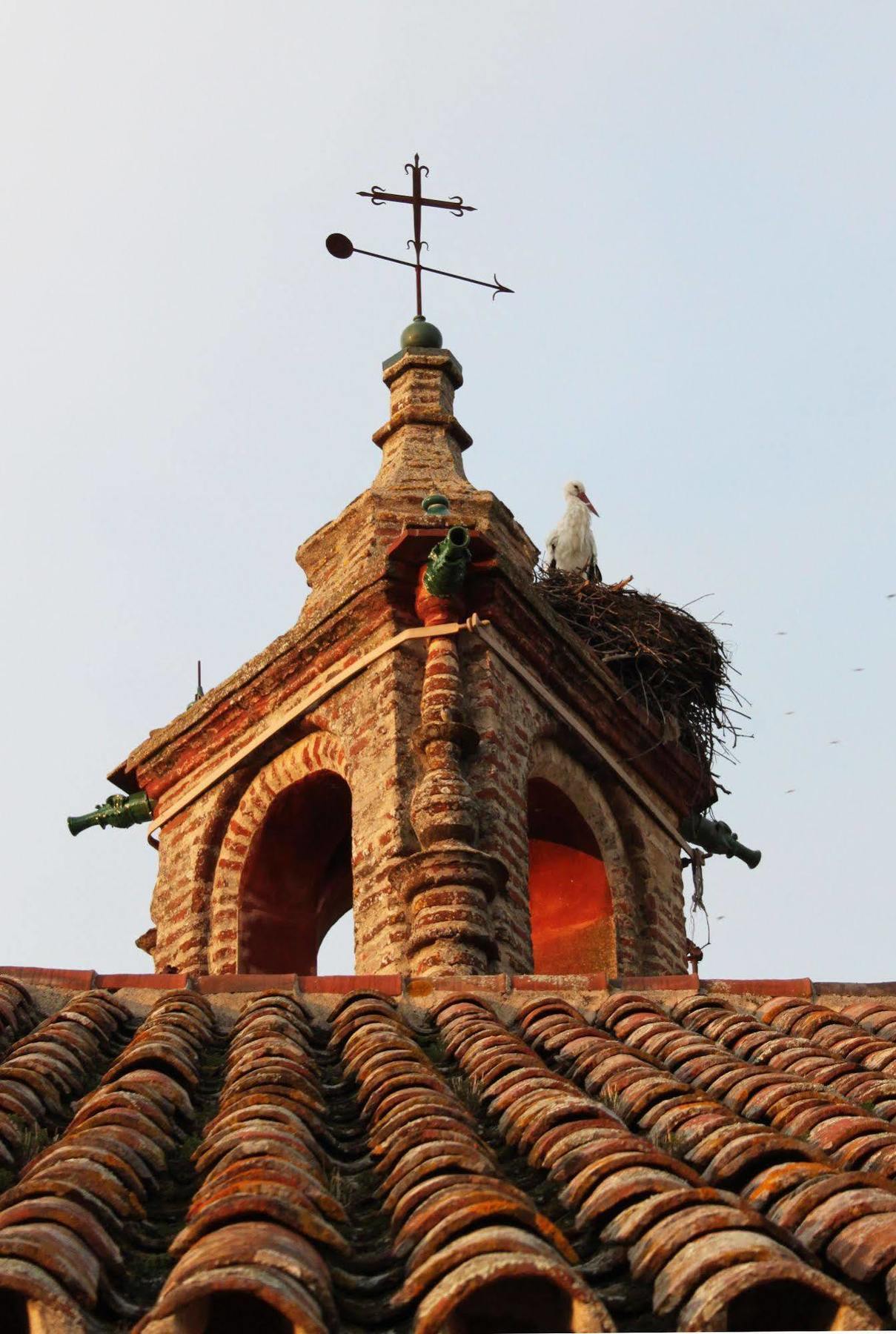 El Rincon De San Benito * Cazalla de la Sierra